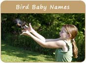 Bird Baby Names