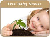 Tree Baby Names