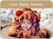 Lion Baby Names